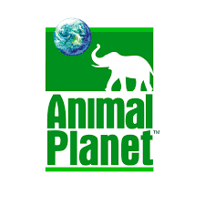ANIMAL PLANET