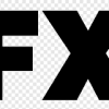FX